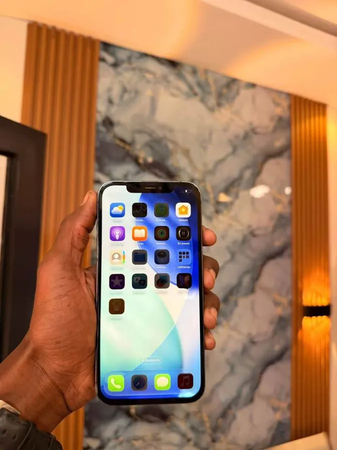 IPHONE 12PRO MAX (image 2)