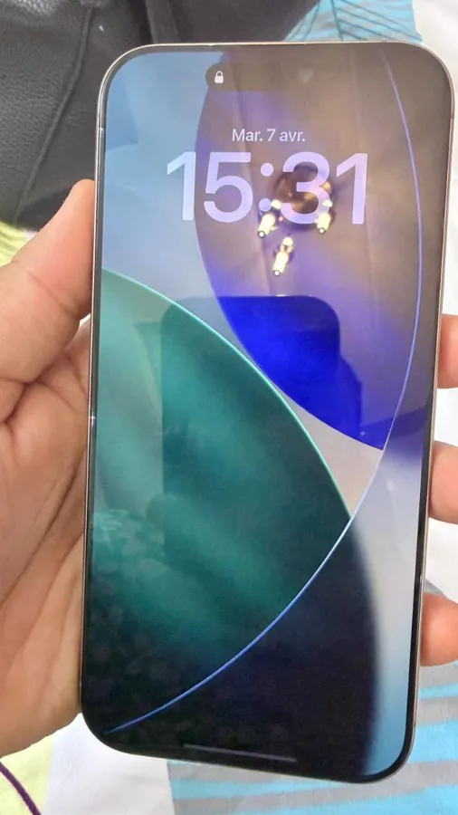 Iphone 16 PRO MAX 256 GO couleur TITANE SABLE (image 8)