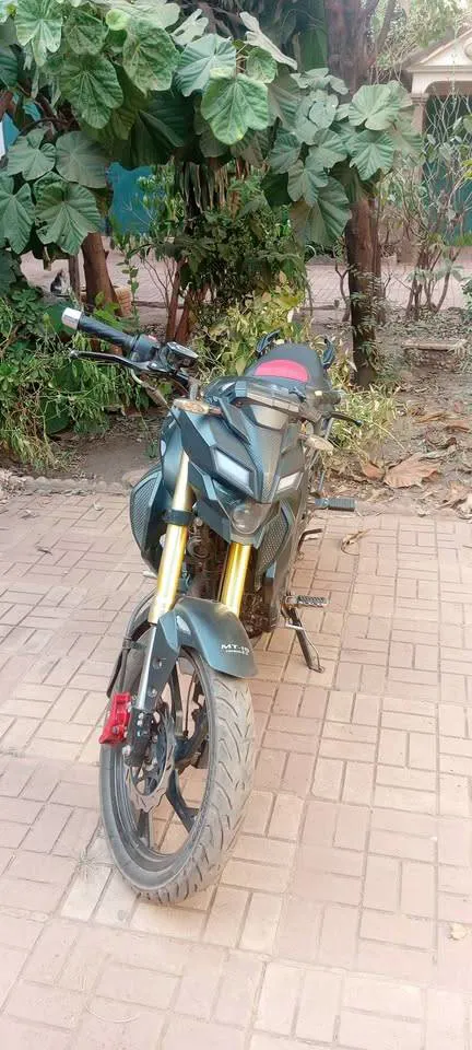 Moto GS cycle (image 2)