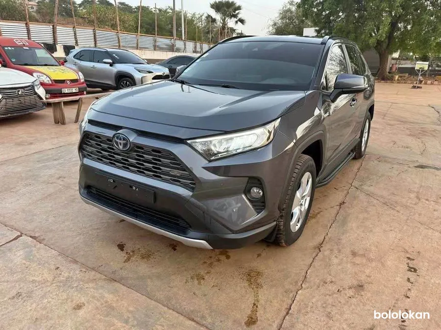Toyota RAV4 2020 Hybride (image 1)