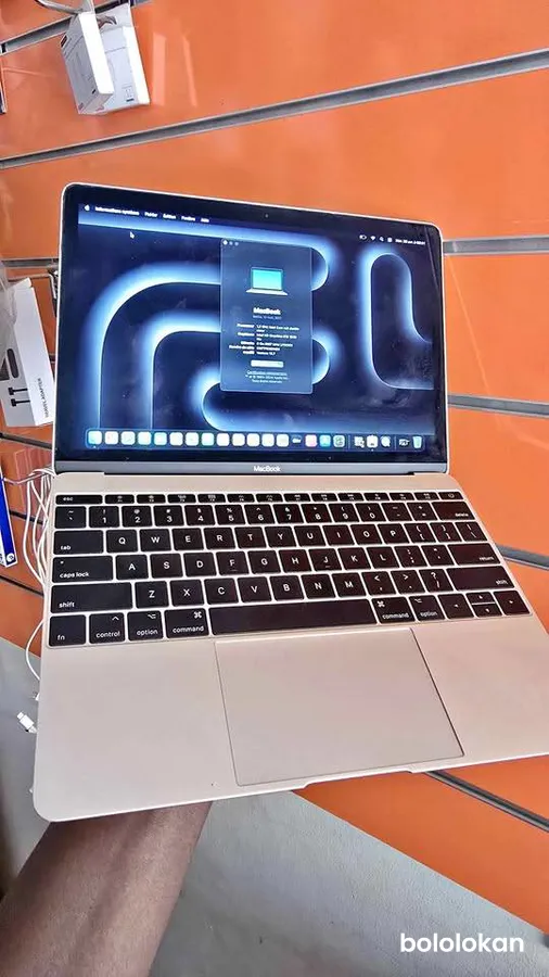 Macbook Retina 12 inch 2017 (image 1)
