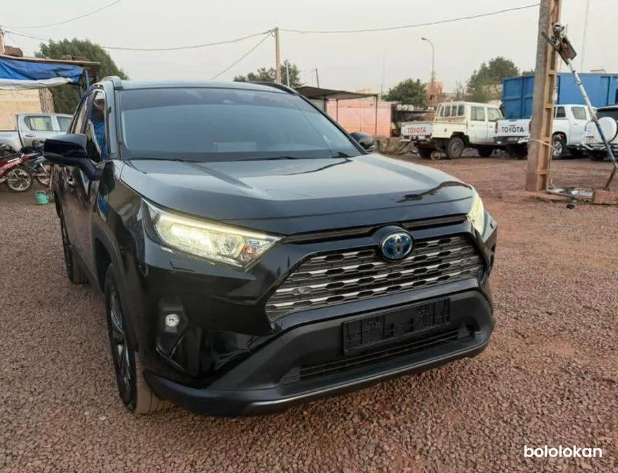 Toyota RAV4 année 2022 (image 2)