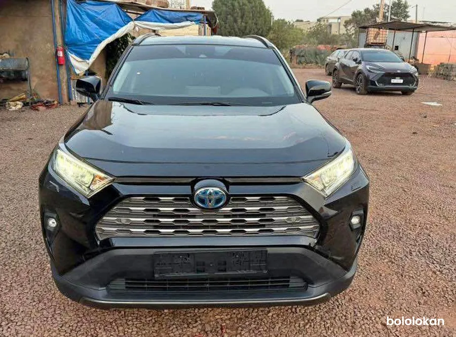 Toyota RAV4 année 2022 (image 1)