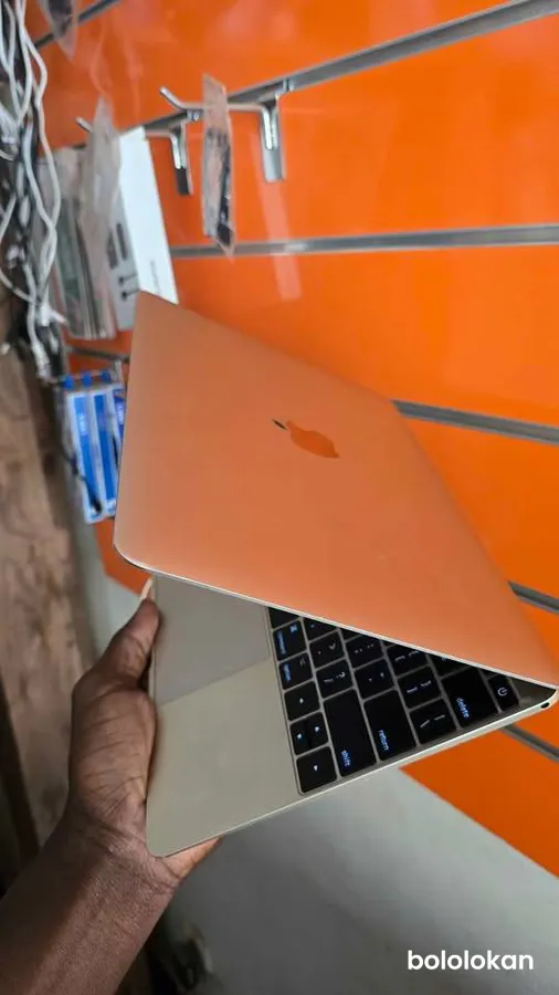Macbook Retina 12 inch 2017 (image 3)