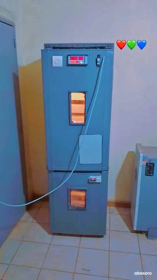 Couveuse automatique 472 œufs à vendre. (image 1)